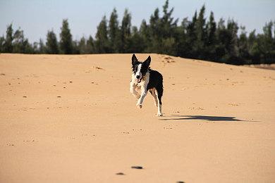 港服PS会员2023年1月会免公布：《星球大战绝地：陨落的武士团》等